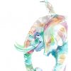 elephant-0