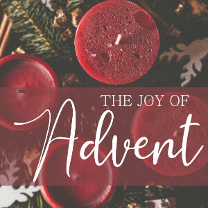 The Joy of Advent--2021 Christmas Collection